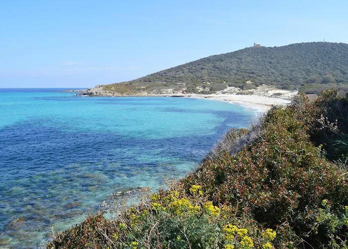 Beautiful In With Wifi *