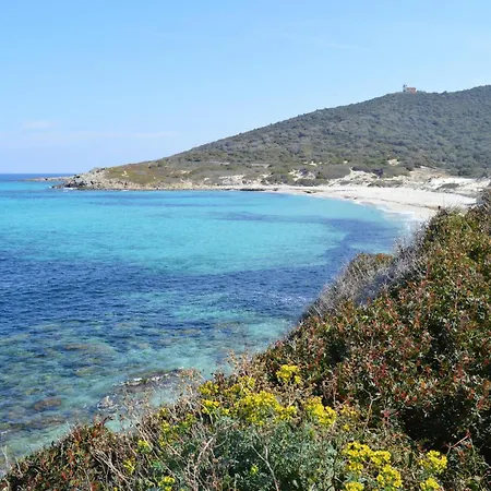 Beautiful In With Wifi *